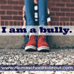 I am a Bully