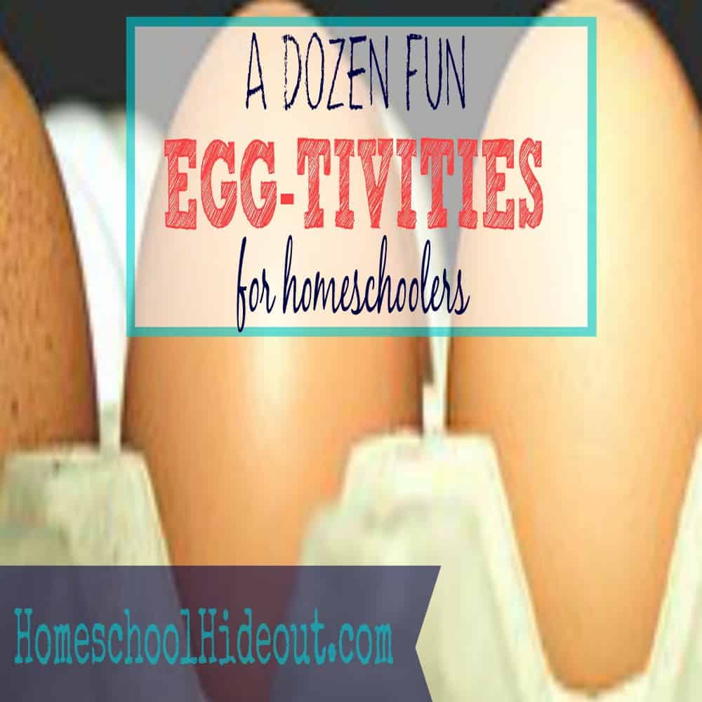 Egg activities