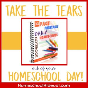 Grab your copy of our printable daily homechool notebook and make learning fun again!