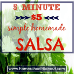 5 Minute $5 Easy Homemade Salsa Recipe
