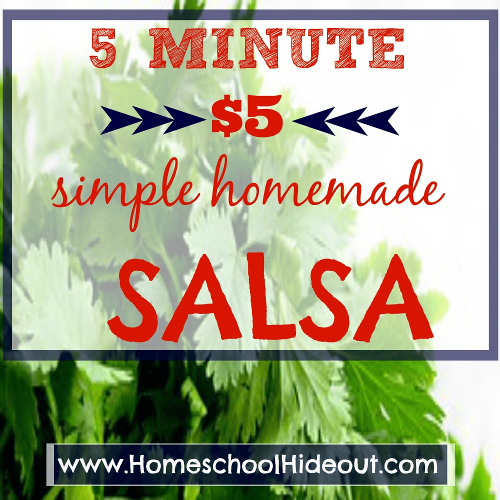 Ooooh! Love this easy homemade salsa recipe. Cheap, quick and delicious!