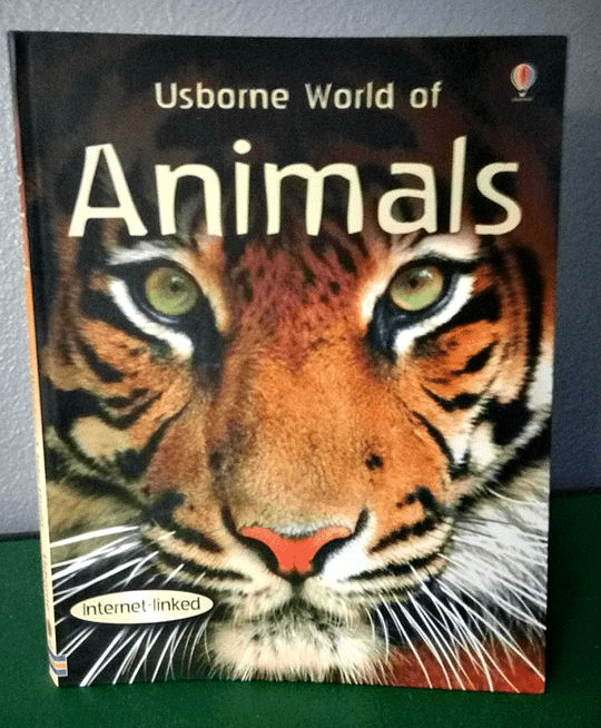 Best Usborne science book for homeschoolers