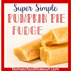 Pumpkin Pie Fudge is as easy as it is delicious. I already had all the ingredients ON HAND, too! YAY!