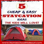 Love these Staycation ideas kids will love! I NEVER would have thought of #3! We're doing it, pronto!