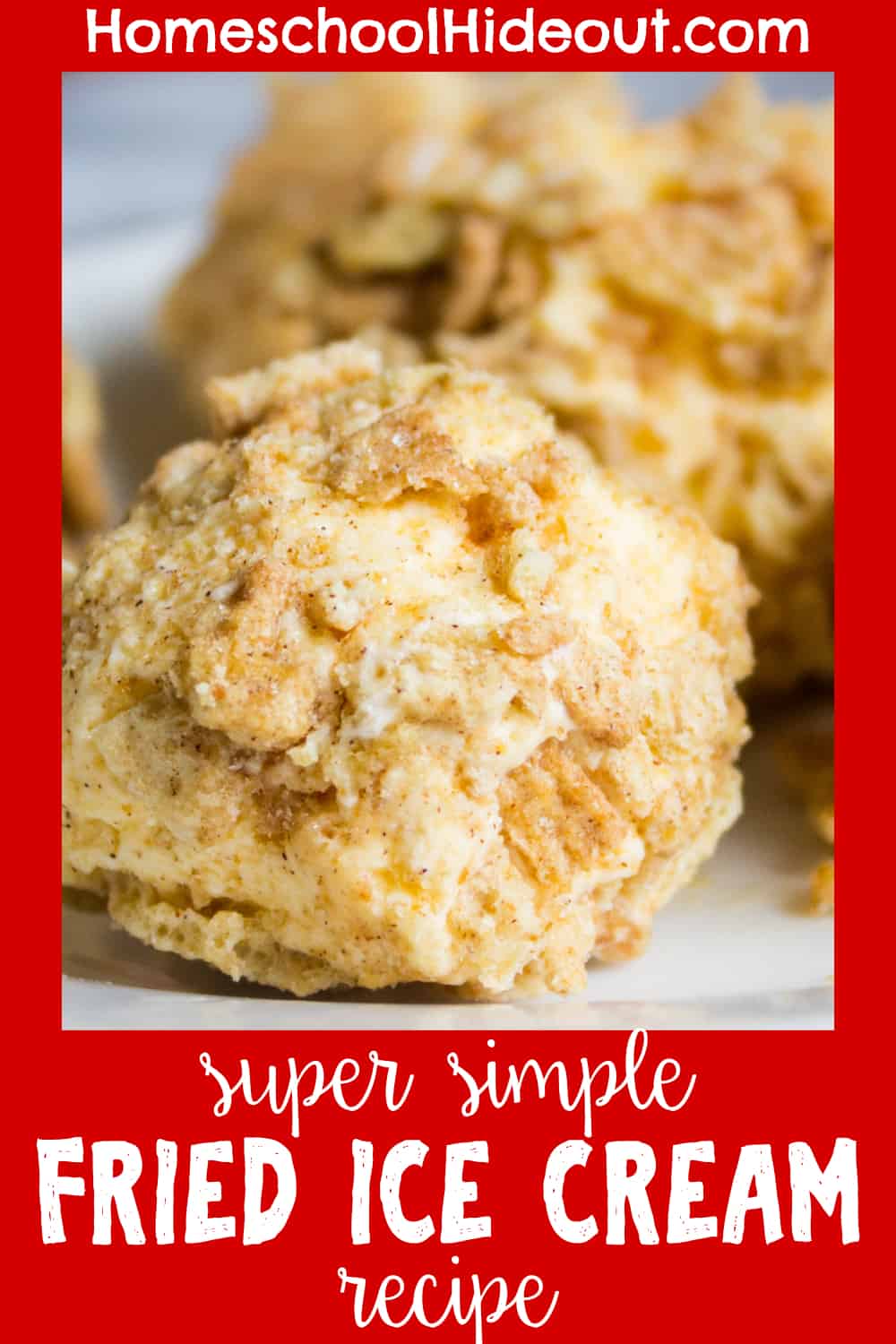 This super easy fried ice cream recipe only uses 2 ingredients. You can enjoy the crunchy sweetness every day of the year!