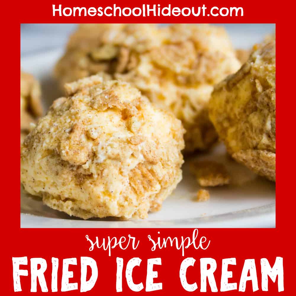 This super easy fried ice cream recipe only uses 2 ingredients. You can enjoy the crunchy sweetness every day of the year!
