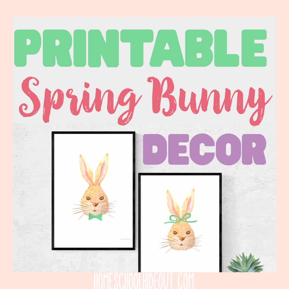 These printable spring bunny decorations are just the thing I needed for my spring decorations! Simple and adorable, but best of all, they're FREE! All you need to do is print them out and pop them in a frame! #spring #printables #diydecor #minimalistdecorating
