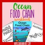 Printable Ocean Food Chain Workbook
