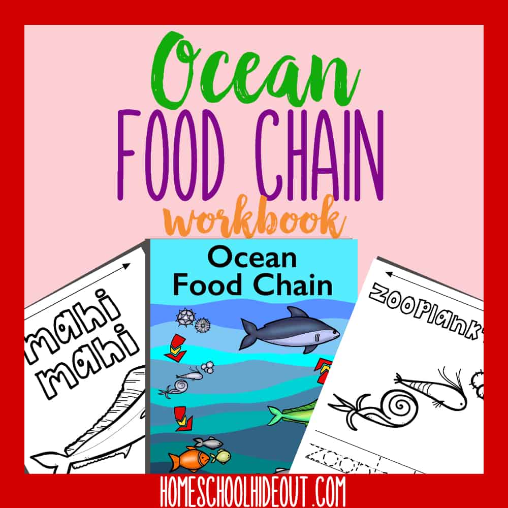 Learn about the ocean food chain with this quick and easy printable workbook! #homeschool #ocean #freeprintables #marinelife