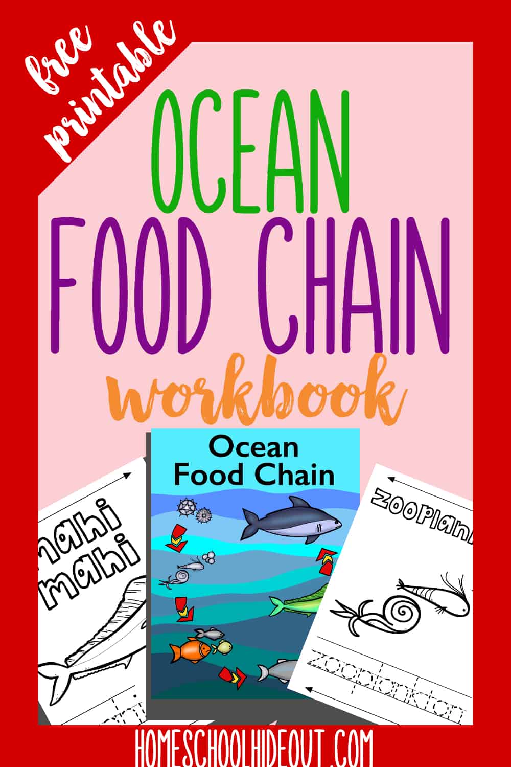 Learn about the ocean food chain with this quick and easy printable workbook! #homeschool #ocean #freeprintables #marinelife