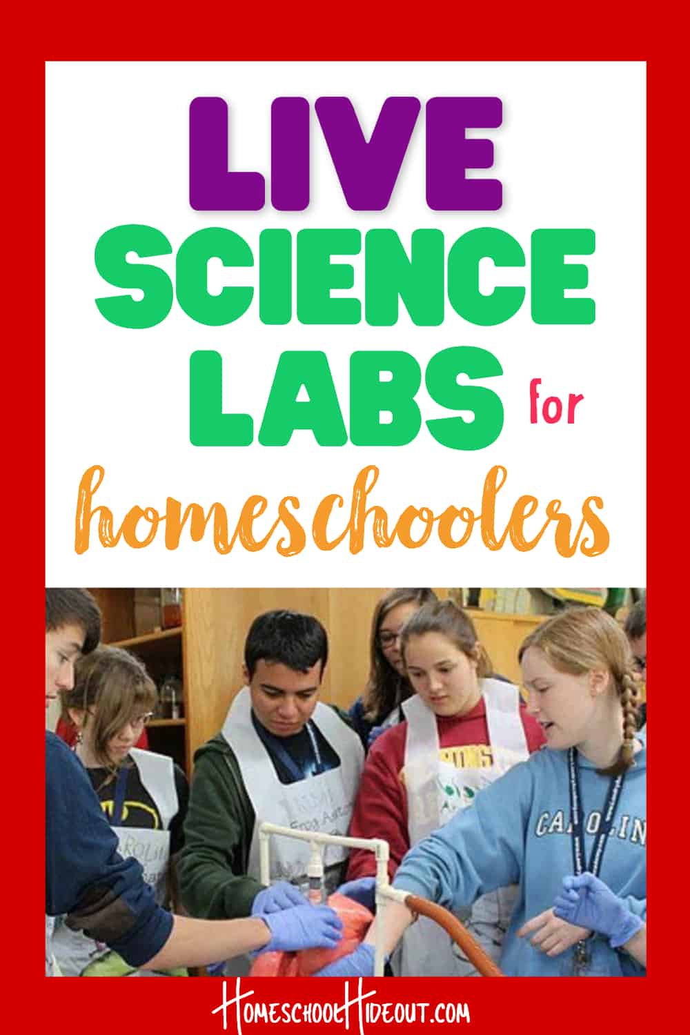 Try LIVE science labs and take the stress out of homeschool biology and chemistry! #biology #chemistry #homeschoolers