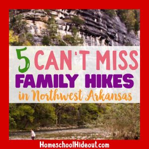 Looking for the best family hikes in Northwest Arkansas? These are the best for all ages, hands down! #nwa #northwestarkansas #hikes #familytime #arkasas #bentonville #rogersar