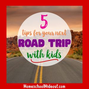Taking a road trip with kids can be the best days of your life with these 5 tips! #travel #travelingwithkids #roadtrip #makingmemories