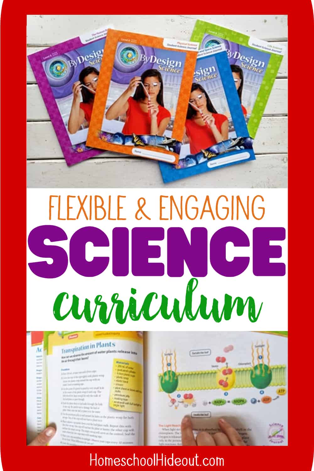 Kendall Hunt RPD has hit it out of the park with their enaging science curriculum, By Design! It's perfect for grades 1-8!