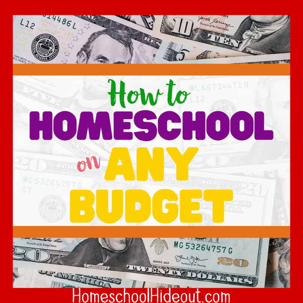 You don't have to be rich! You can homeschool on any budget, whether big or small. We've done it as a family of 5 living on less than $30,000 a year!