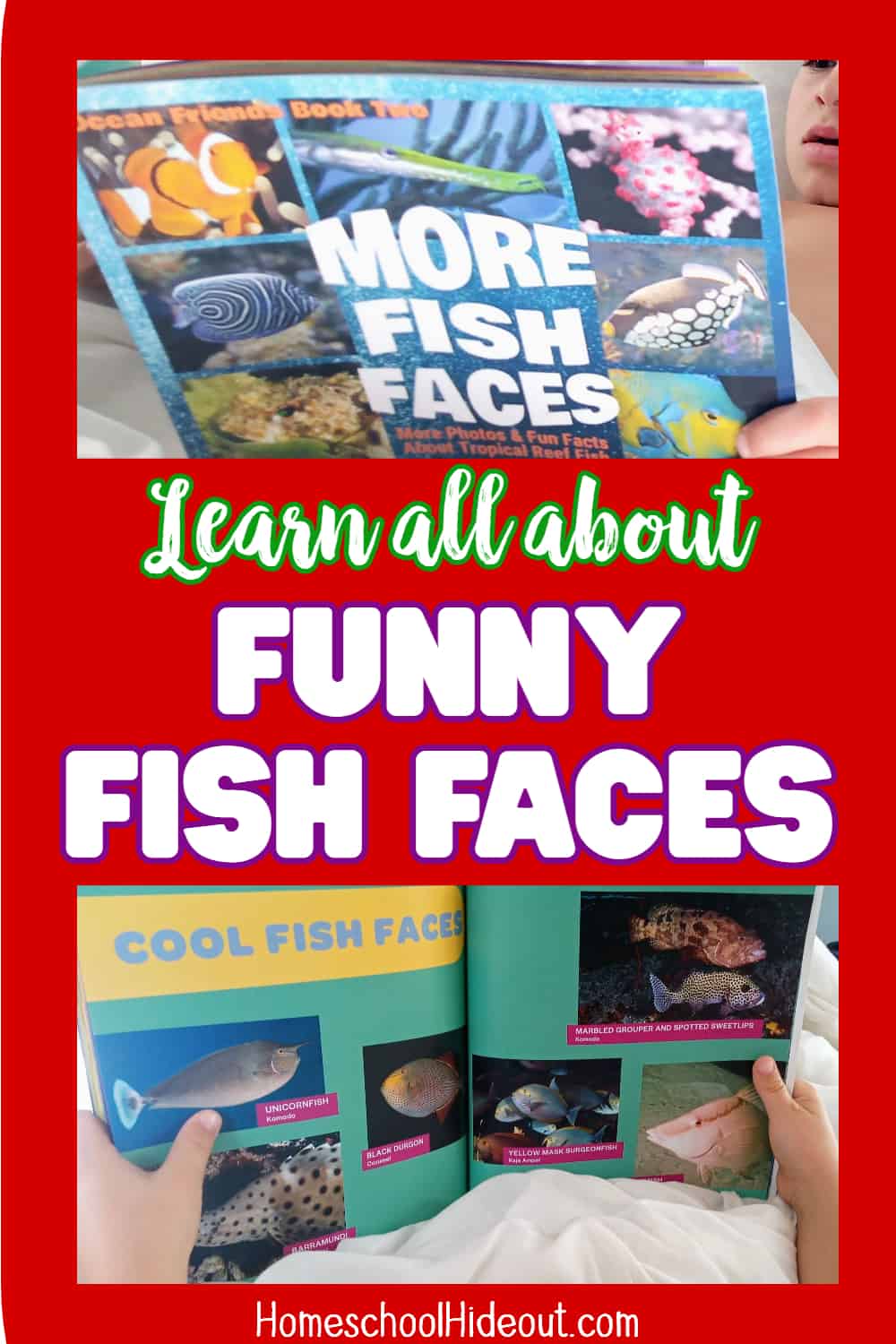 This educational ocean life book really brings the sea to life for kids! I love seeing the different (funny!) faces of fish. It's feels like you are right there next to them! We love page #44.