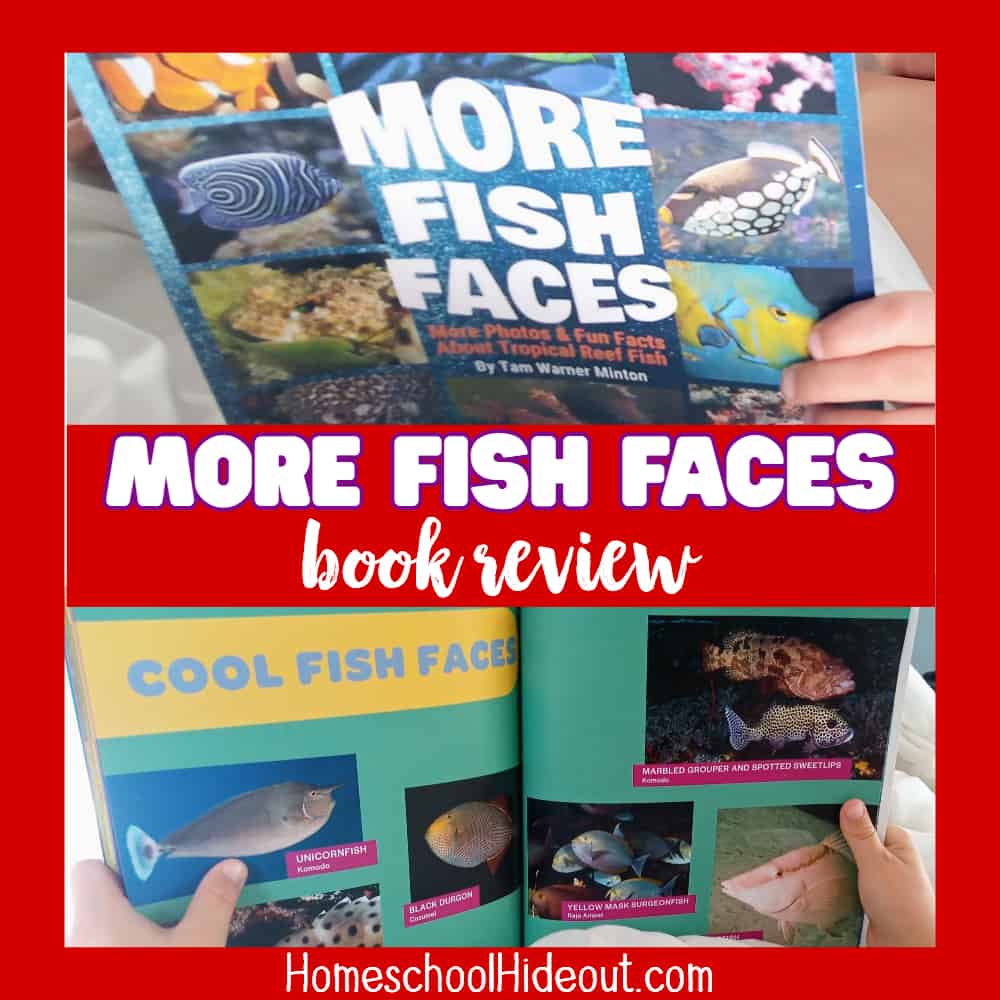 This educational ocean life book really brings the sea to life for kids! I love seeing the different (funny!) faces of fish. It's feels like you are right there next to them! We love page #44.