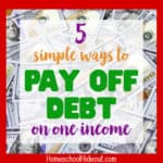 Pay Off Debt on One Income