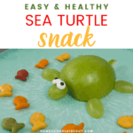 Sea Turtle Themed Snacks for Kids