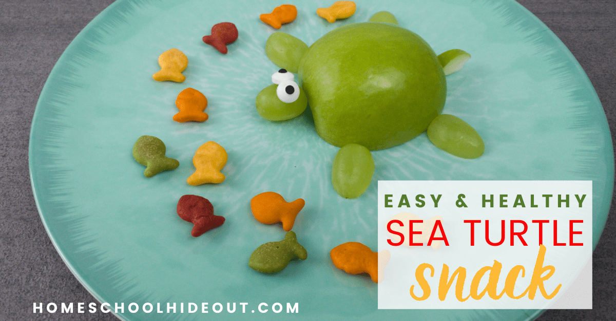 These sea turtle themed snacks are the cutest little thing! Plus, they're healthy and a cinch to make!