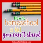How to Homeschool a Kid You Can’t Stand