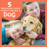 5 Reasons Your Family Should Get A Dog