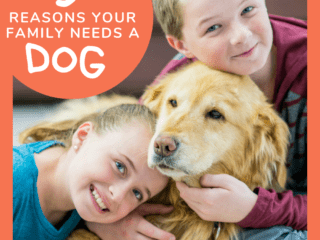 There are many reasons your family should get a dog but this list is GREAT!