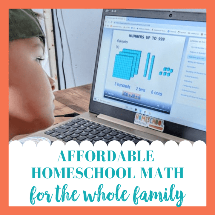 CTCMath is the ultimate homeschool math on a budget. I pay just a fraction for the WHOLE family than I did for just one kid!
