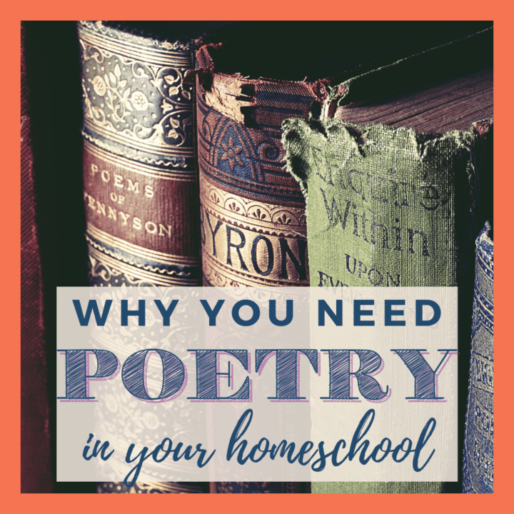 Using poetry in your homeschool can be an amazing addition for the whole family!