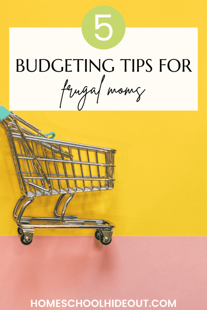 THese budgeting tips are JUST what I needed! I love #4.