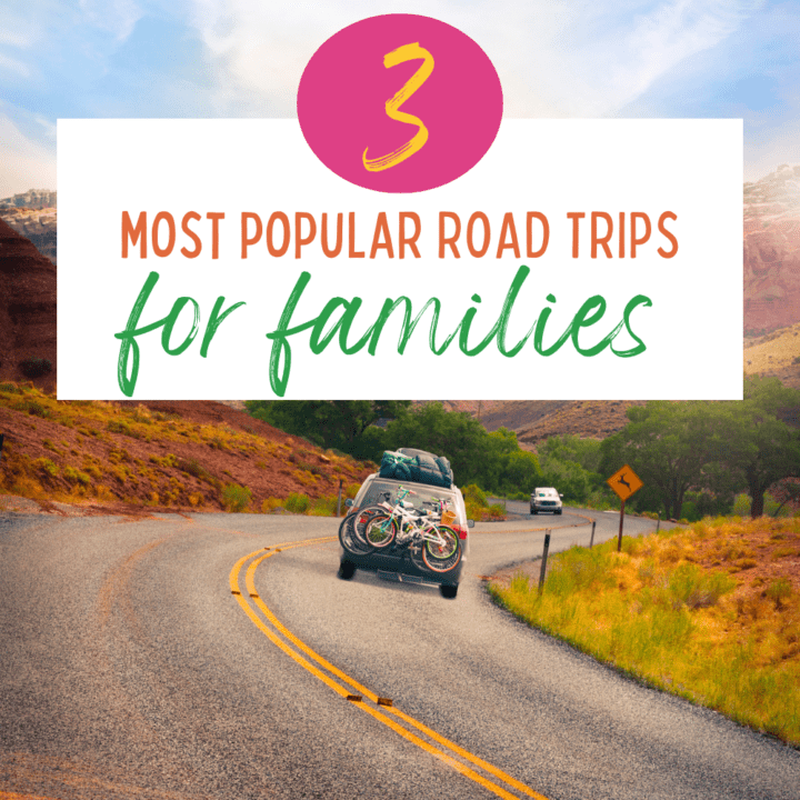 Love these popular road trips for families! We've done Route 66 and it was THE BEST!