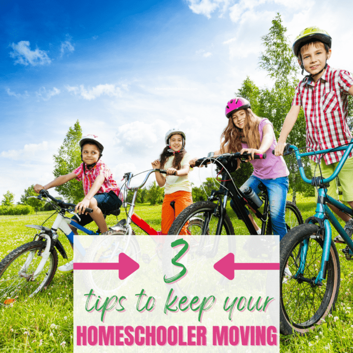 These tips to keep your homeschooler moving are SO good!