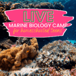 Homeschool Marine Science Camps