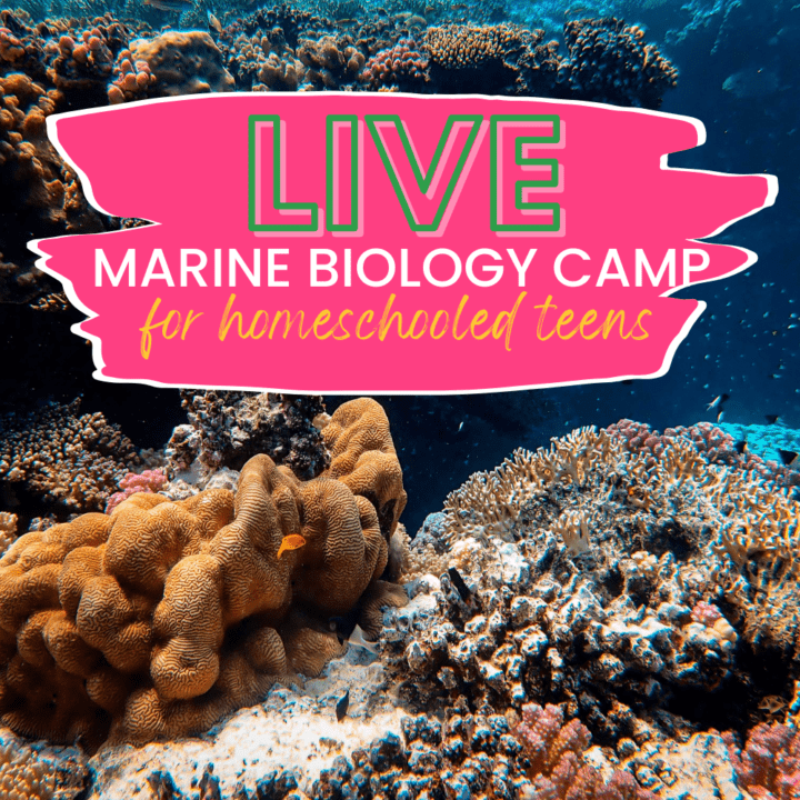 Greg Landry's homeschool science marine camp is AMAZING!
