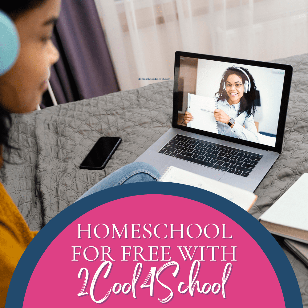 A homeschool video curriculum is just what we needed!