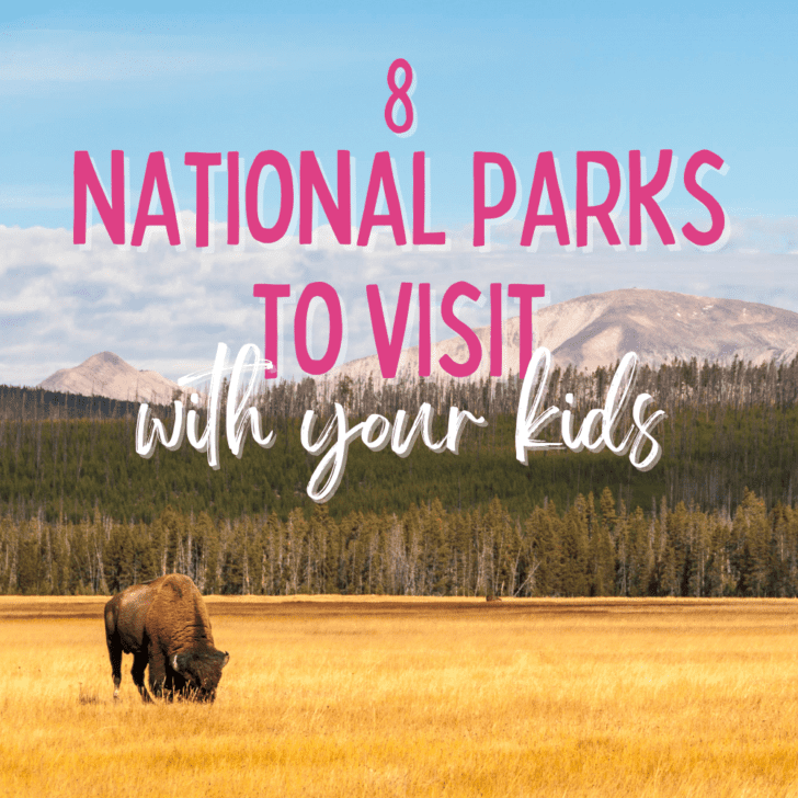 Love this list of National Parks to visit with kids!