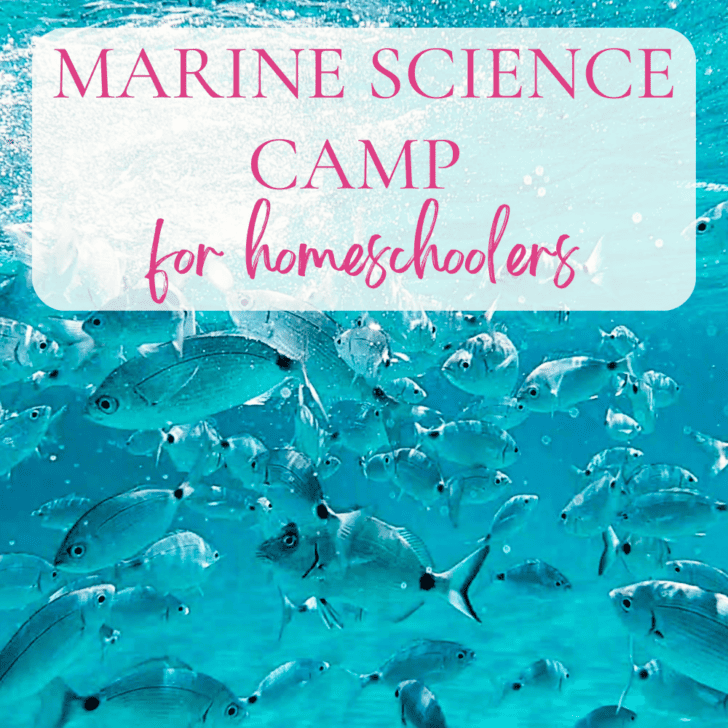 Greg Landry's Marine Science Camp was a once-in-a-lifetime opportunity!