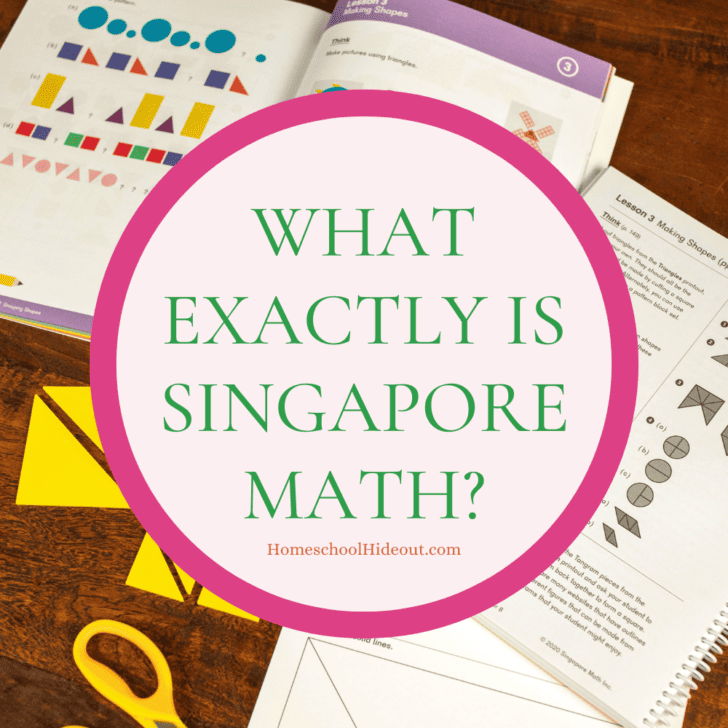 Ever wonder what Singapore math actually IS? Me, too! Love this article that explains it so perfectly.