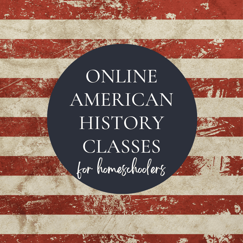 These American history online classes are a game-changer!