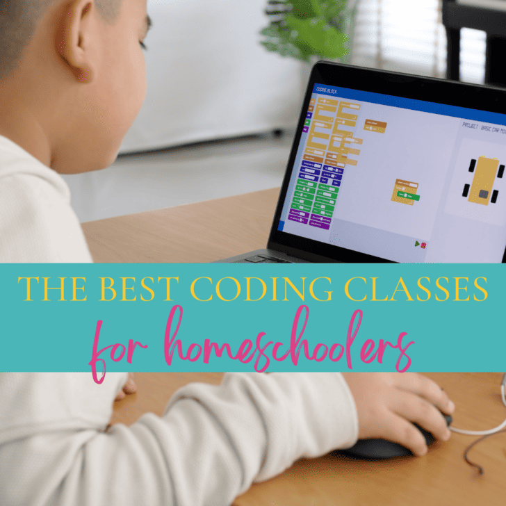 MYTEK LAB offers the best coding classes for homeschoolers