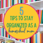 5 Tips to Stay Organized as a Homeschool Mom