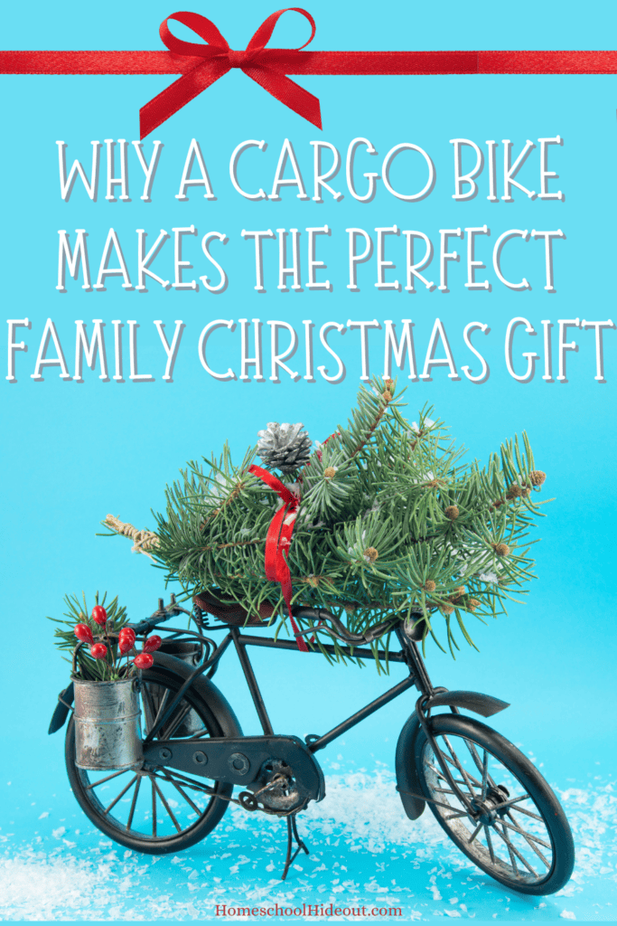 A cargo bicycle makes the perfect family gift!
