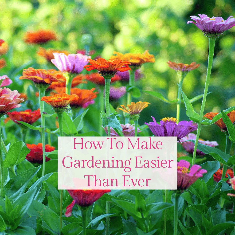 How to make gardening easier than ever!